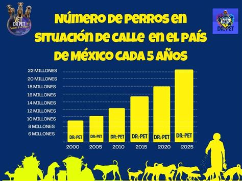 en perdos|venta de perros en méxico.